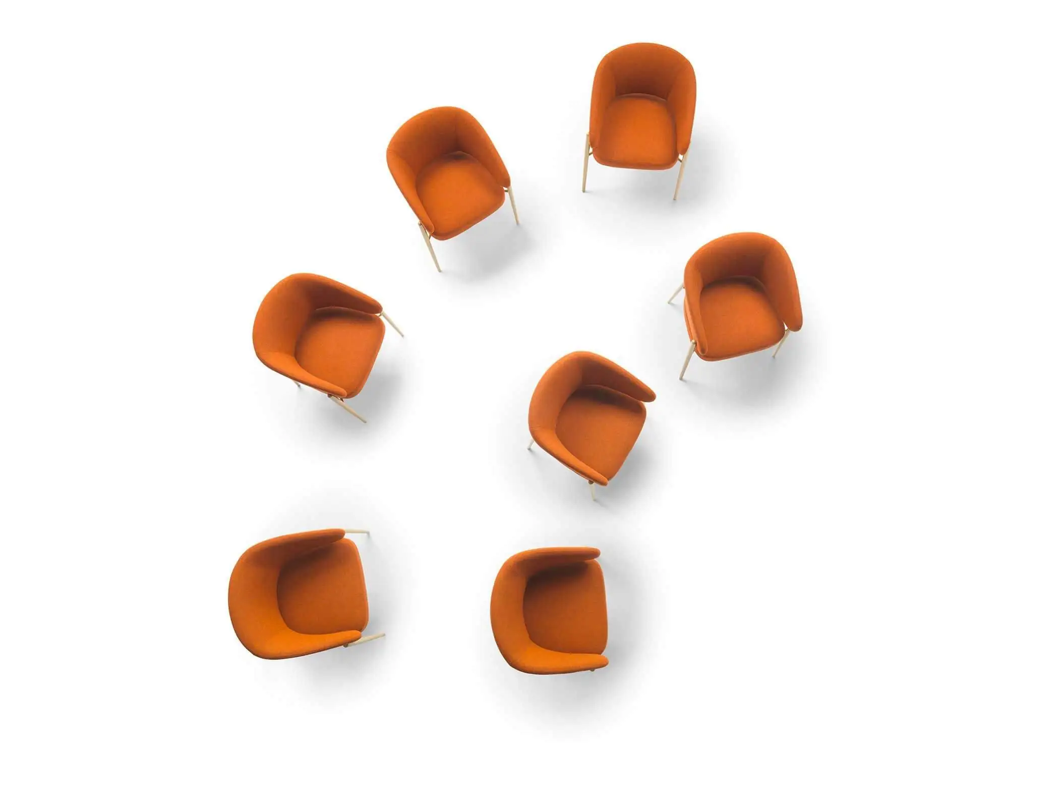 Lomacasa Marelli Linda 椅子 畫廊 2-7