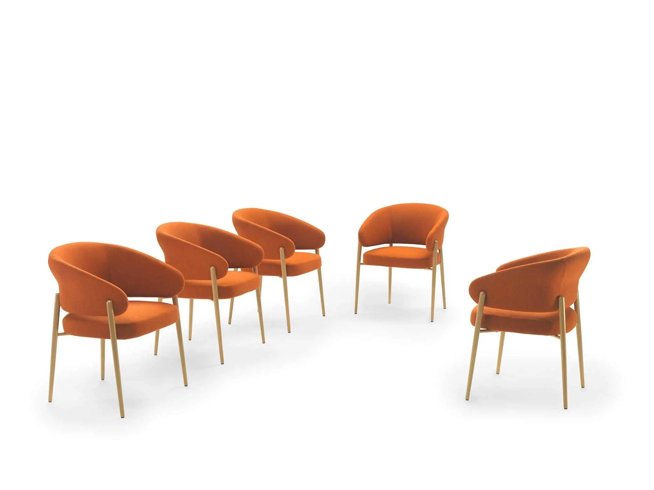 Lomacasa Marelli Linda 椅子 畫廊 2-8